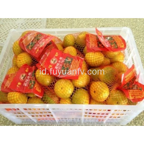 Bayi jeruk mandarin segar hotsale